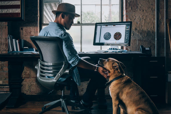 take your dog to work day